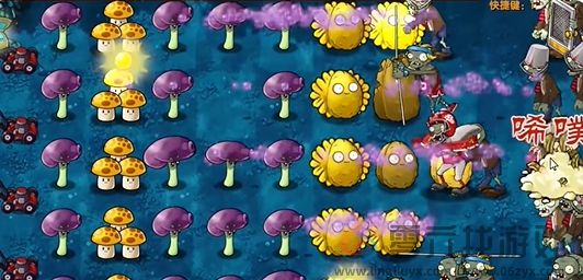 《植物大战僵尸融合版》冒险模式第10关通关攻略(图6)