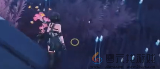 鸣潮礼花蒴采集路线(图11) 鸣潮礼花蒴采集路线(图11)