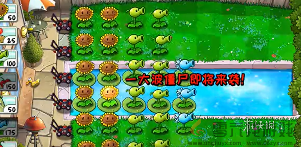 植物大战僵尸精华版冒险模式3-6怎么过(图6) 植物大战僵尸精华版冒险模式3-6怎么过(图6)