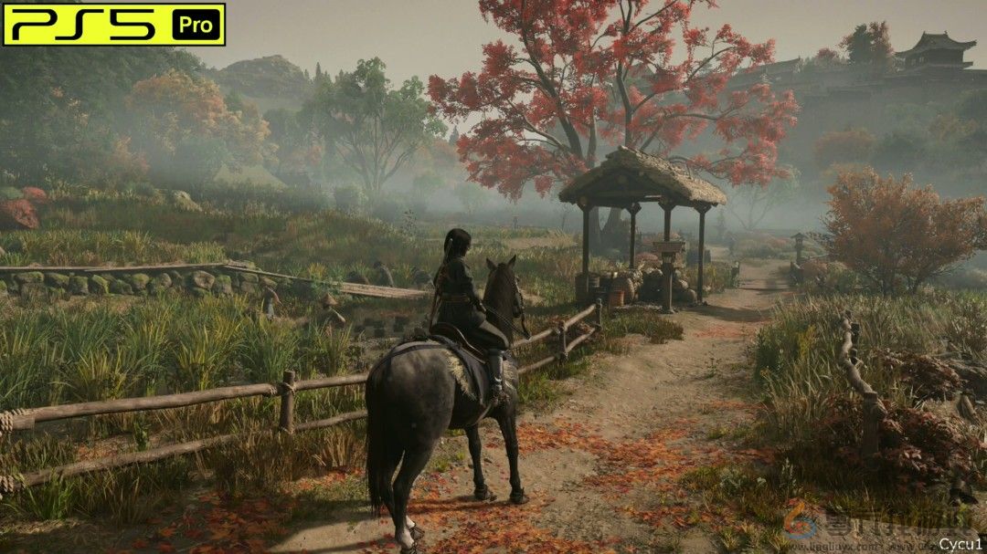 《刺客信条：影》PS5 Pro和Switch 2画面对比(图11)