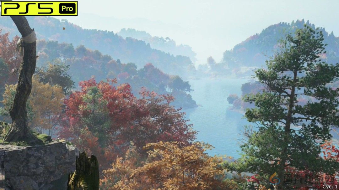 《刺客信条：影》PS5 Pro和Switch 2画面对比(图16)